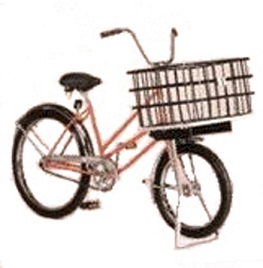 Bicycle Worksman Low Gravity Bike Unisex (LGG) 
