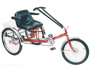 Tricycle Worksman (PAV) Personal Activity Vehicle