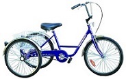 Trike Summit recreational (non-industrial).  Comes with basket, fenders, coaster brake & front hand brake 