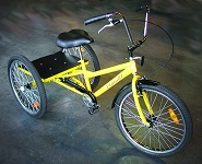 Trike Summit Industrial with Shimano Coaster Brake & front hand brake